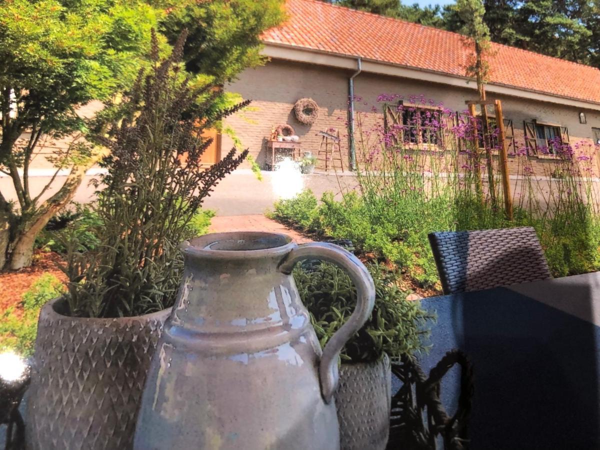 De Kegelhoeve Zonhoven Kültér fotó